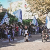 Festa dell’Uva, Cinigiano GR, 2016